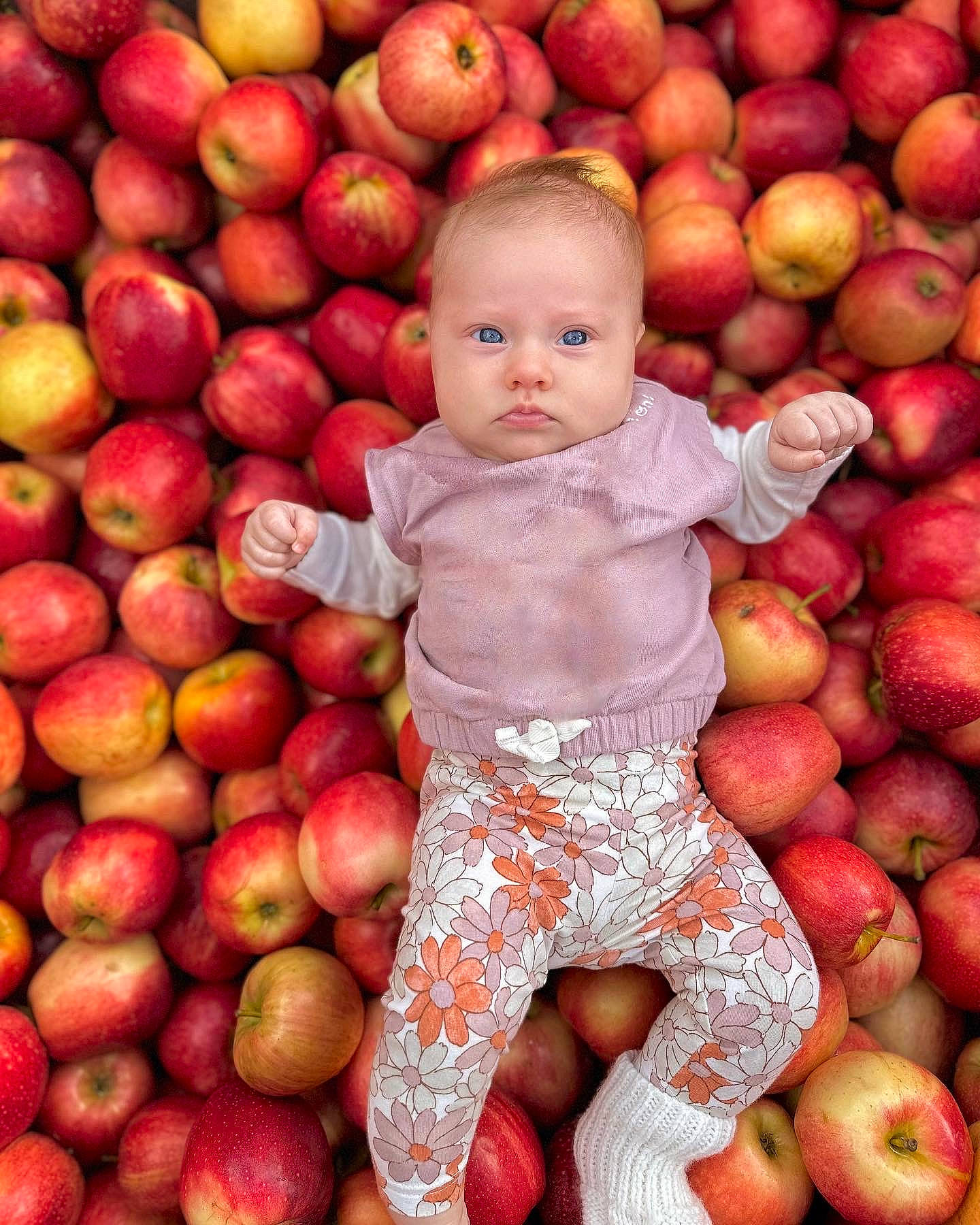 Kingsley joined the competition — help win amazing prizes! baby, baby_toddler_clothing, food, fruit, green, happy, local_food, mcintosh, natural_foods, peach, people_in_nature, person, photograph, produce, product, shorts, staple_food, superfood, toddler, vegan_nutrition