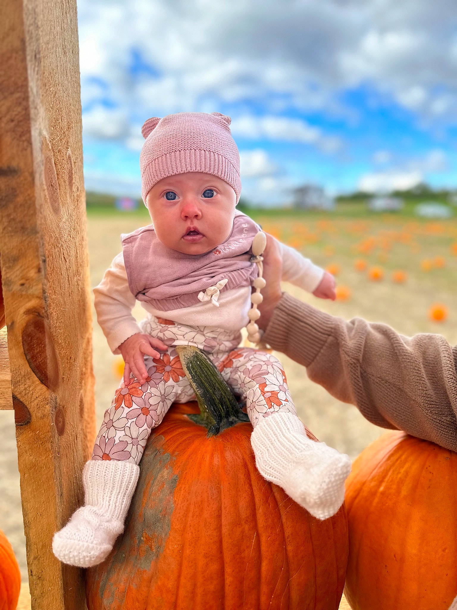 Kingsley joined the competition — help win amazing prizes! baby, baby_toddler_clothing, calabaza, cloud, cucurbita, gourd, grass, happy, headwear, natural_foods, orange, people, people_in_nature, person, plant, pumpkin, sky, squash, surprise, toddler