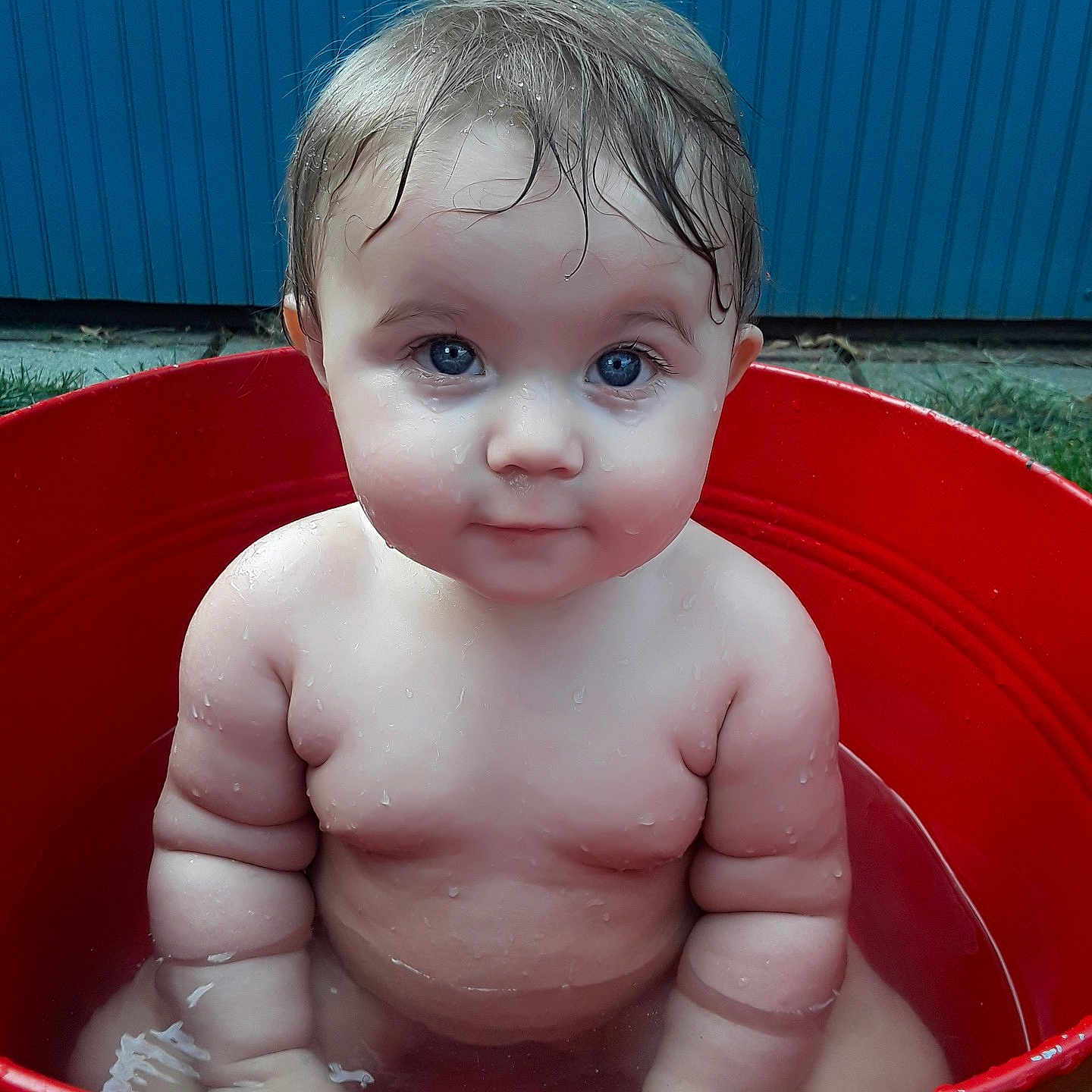 Harper