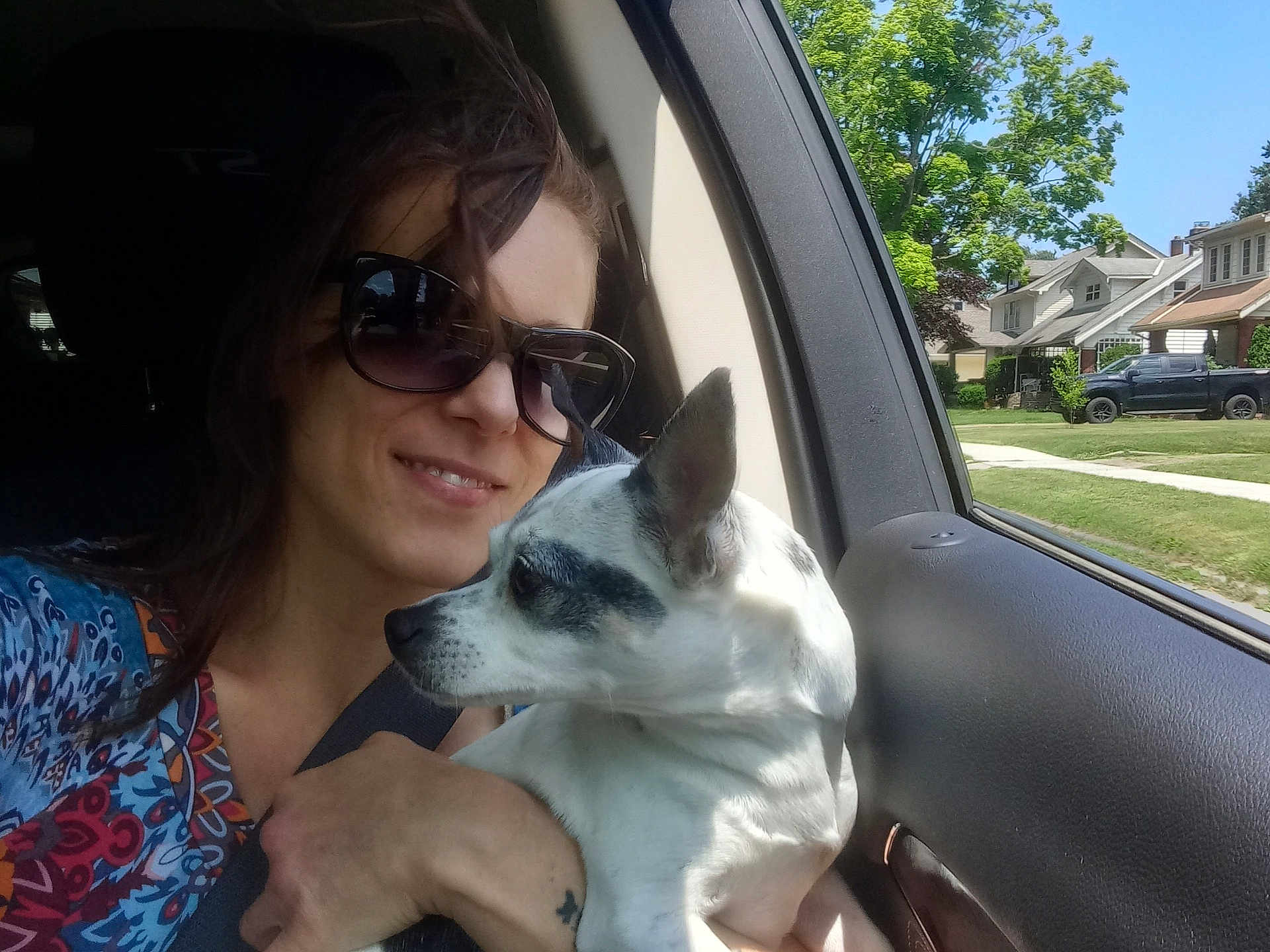 Shorty is registered to the contest to win money with this photo: woman, dog, car, sunglasses, sunlight, window, seatbelt, suburban, neighborhood, tree, grass, house, smile, pet, animal, portrait, daylight, casual, happy, travel