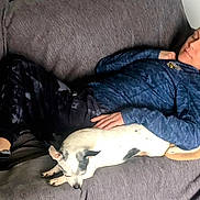 Shorty joined the competition — help win amazing prizes! woman, dog, couch, sleeping, resting, indoor, casual_clothing, relaxation, pet, companion, comfort, home, blanket, laying_down, casual, small_dog, white_dog, human, napping, cozy