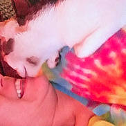 Willow joined the competition — help win amazing prizes! affection, blurry, casual, cat, close_up, colorful_clothing, cozy, cute, face, feline, human, indoor, interaction, low_quality, nuzzling, person, pet, smiling, tie_dye, warm_tones