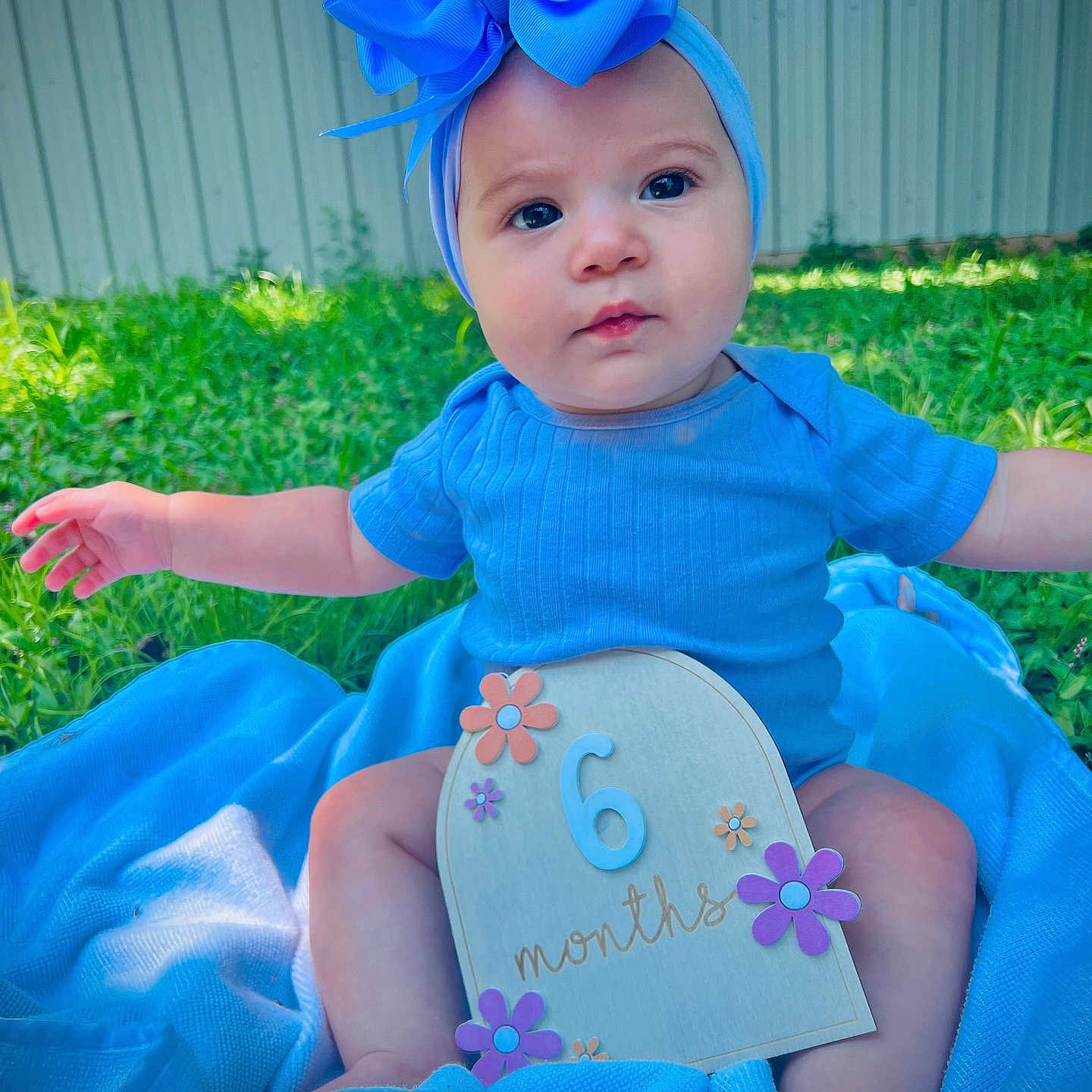 Jenny joined the competition — help win amazing prizes! baby, blanket, blue_bow, blue_clothing, child, cute, fence, grass, happy, headband, infant, months, outdoor, person, portrait, sign, sitting, summer, sunlight, young_child