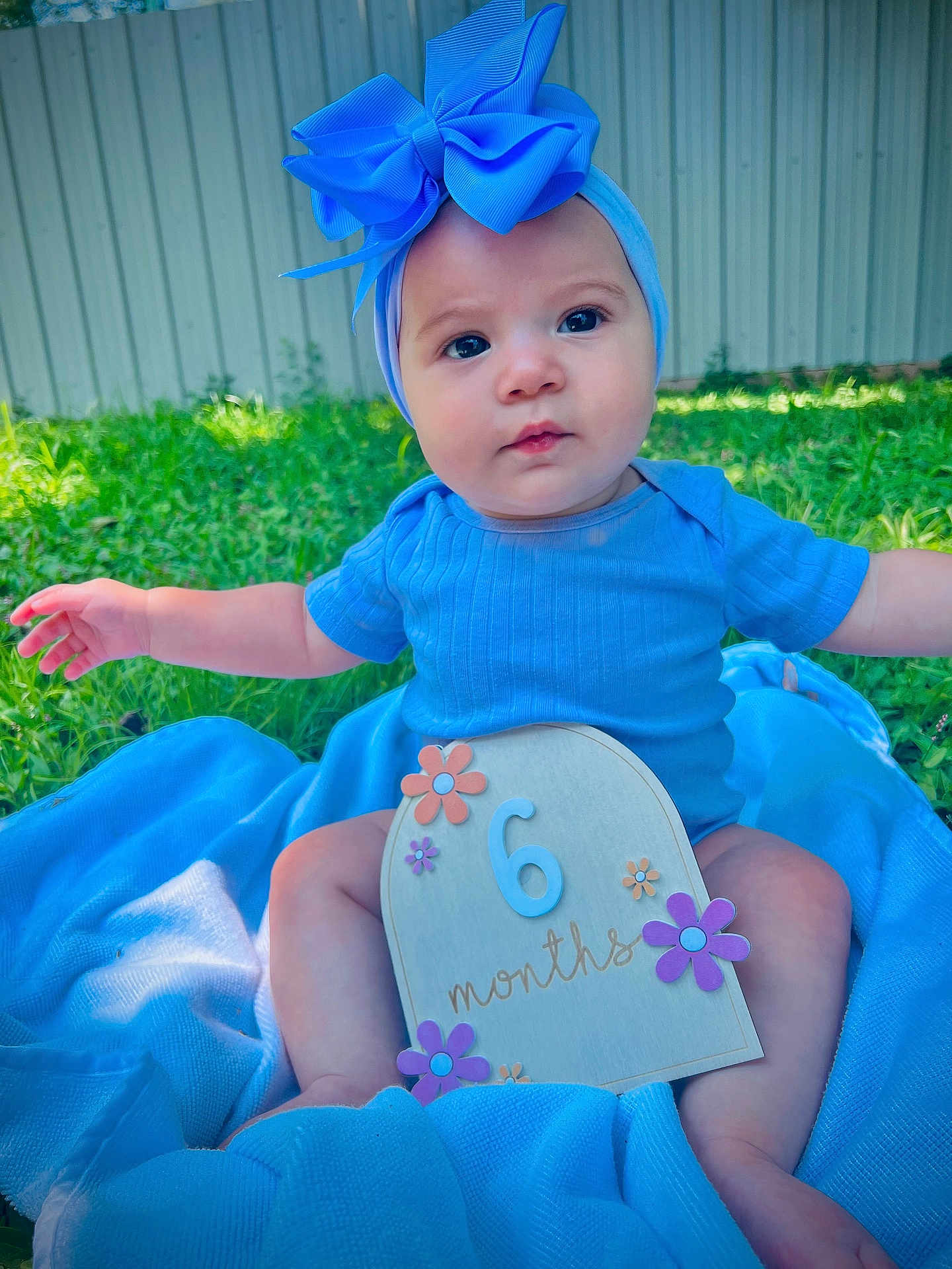 Jenny joined the competition — help win amazing prizes! baby, child, infant, blue_clothing, blue_bow, blanket, outdoor, grass, sign, months, headband, sitting, cute, portrait, fence, person, young_child, summer, sunlight, happy