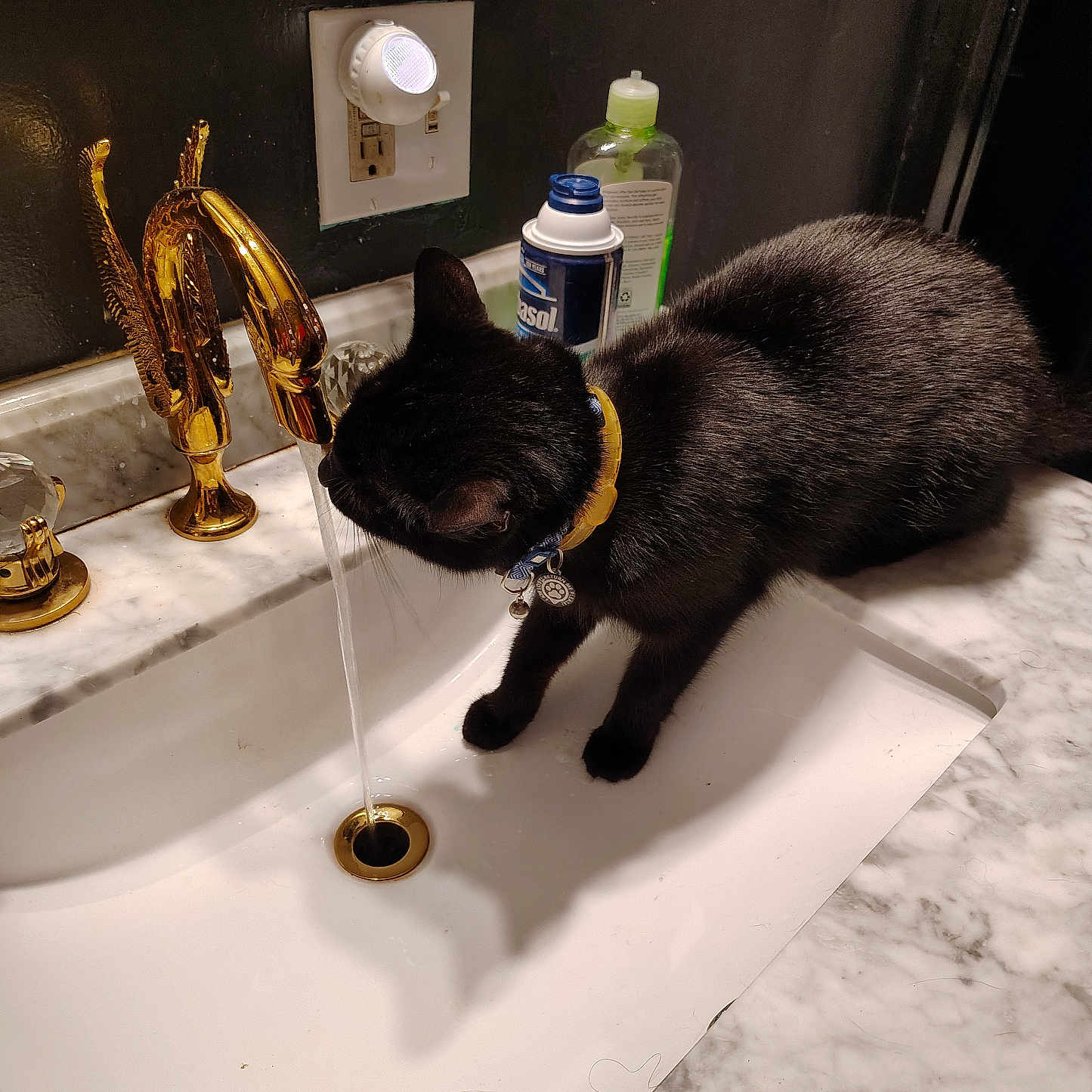 Serain is registered to the contest to win money with this photo: bathroom, black_cat, bottle, cat, collar, countertop, curiosity, domestic, drinking, faucet, gold_faucet, indoor, marble_countertop, mirror, pet, portrait, shadow, sink, tag, water_stream