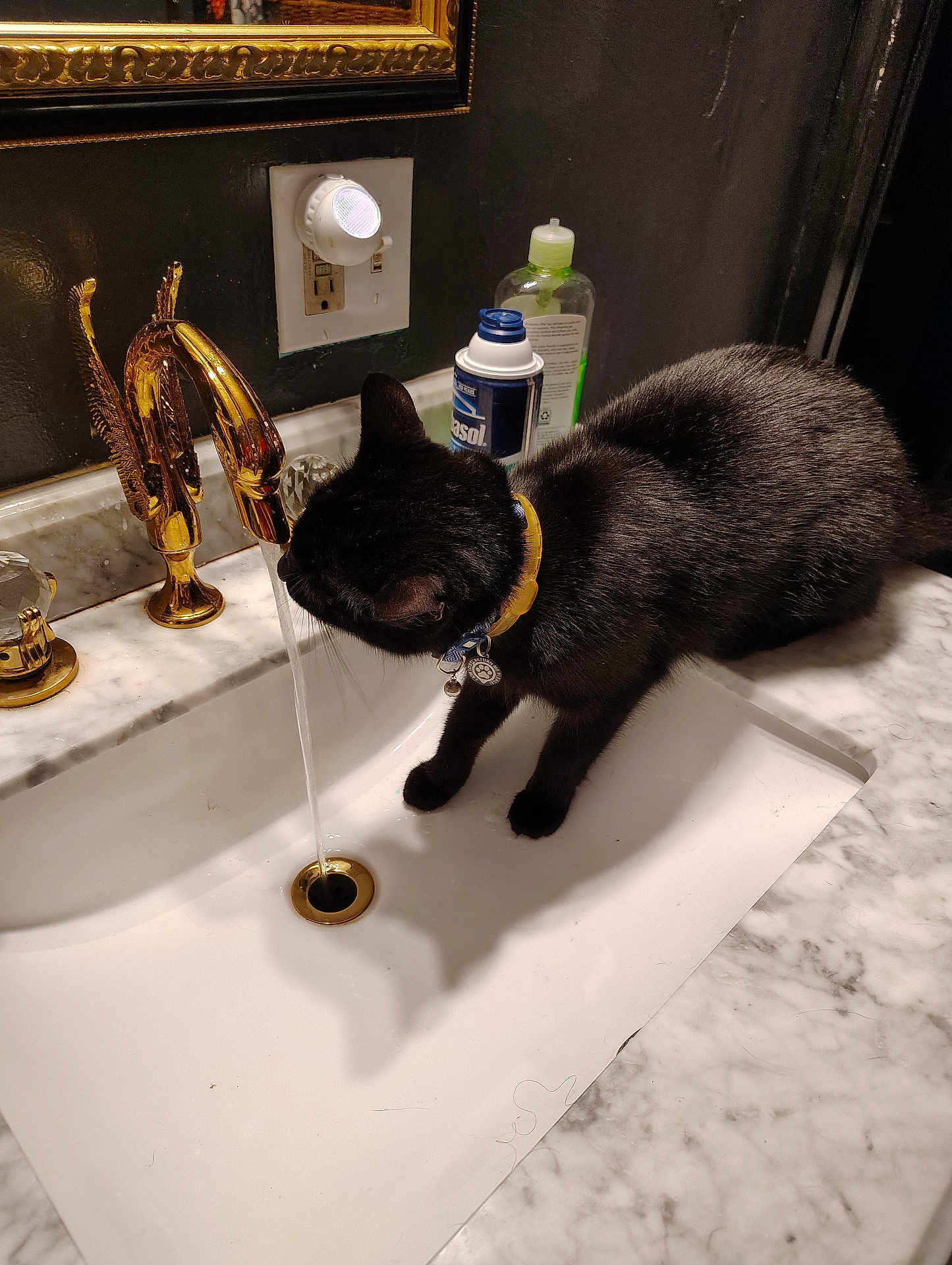 Serain is registered to the contest to win money with this photo: bathroom, black_cat, bottle, cat, collar, countertop, curiosity, domestic, drinking, faucet, gold_faucet, indoor, marble_countertop, mirror, pet, portrait, shadow, sink, tag, water_stream