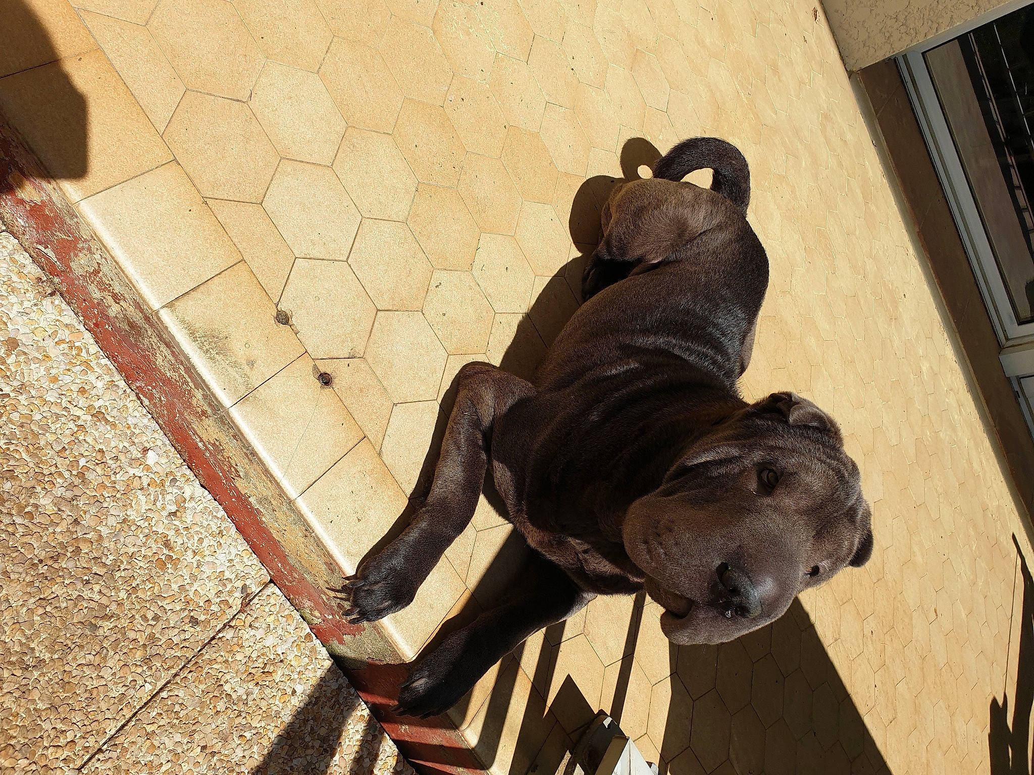 Rubis participe au concours pour gagner de l'argent avec cette photo : art, cobblestone, concrete, facade, flooring, human_leg, knee, metal, monument, road_surface, sculpture, shadow, sitting, sporting_group, statue, tail, tile, tints_and_shades, visual_arts, wood