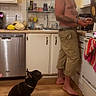 Slash is registered to the contest to win money with this photo: appliance, attentive, barefoot, cabinet, casual, countertop, dishrack, dishwasher, dog, floor, heart_overlay, indoor, kitchen, man, pet, shirtless, sink, tattoos, towel, wooden_floor
