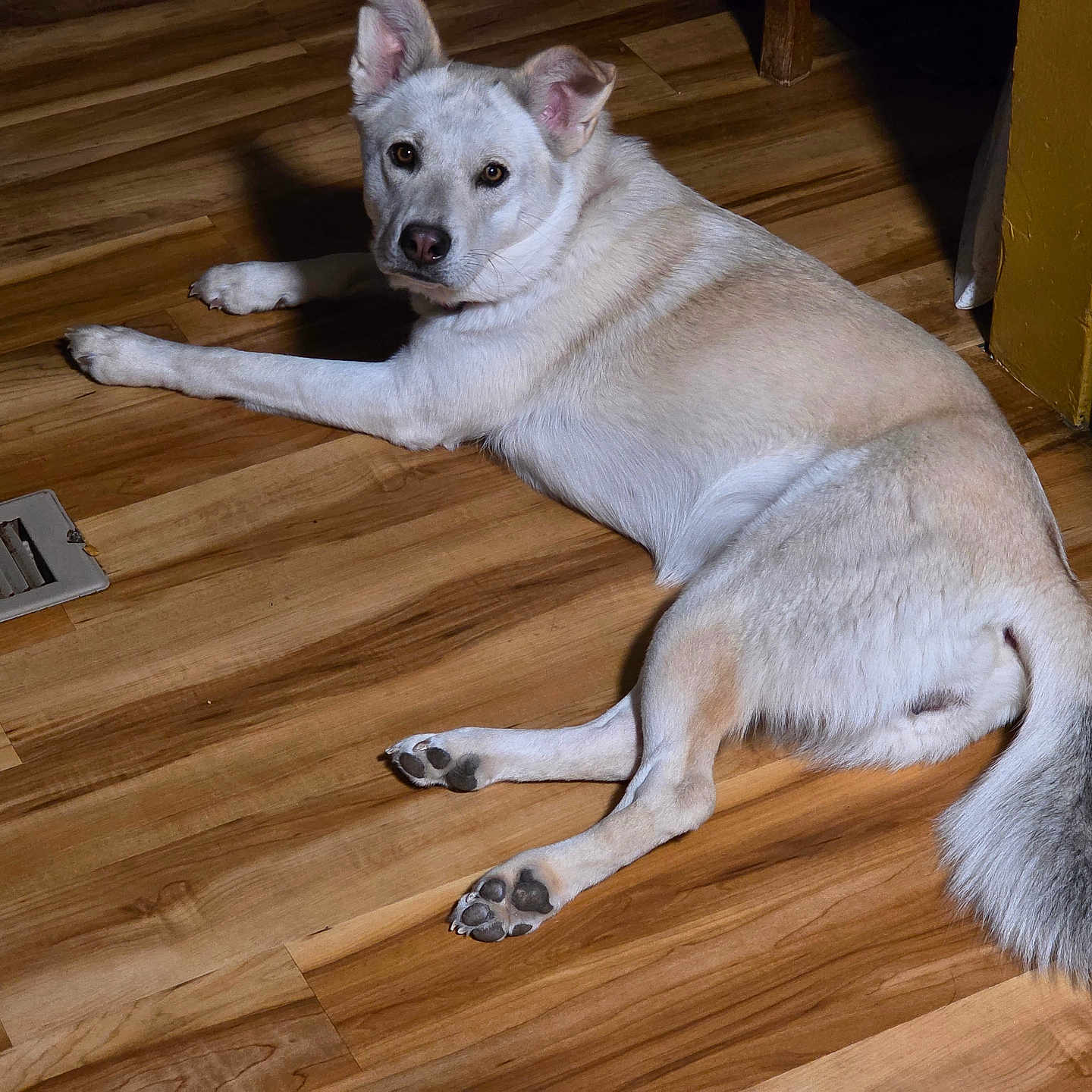 Lucy