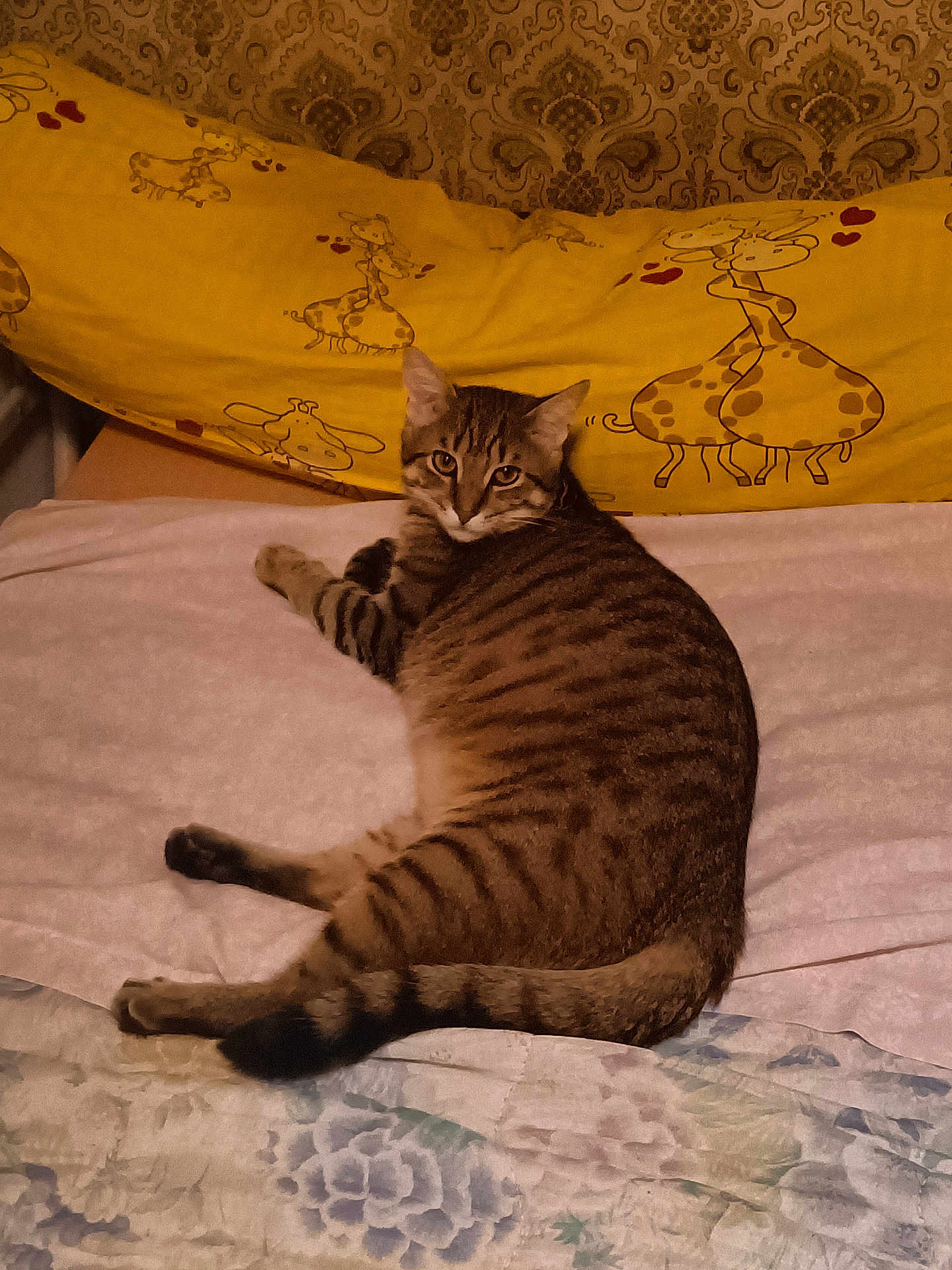 Moumoune