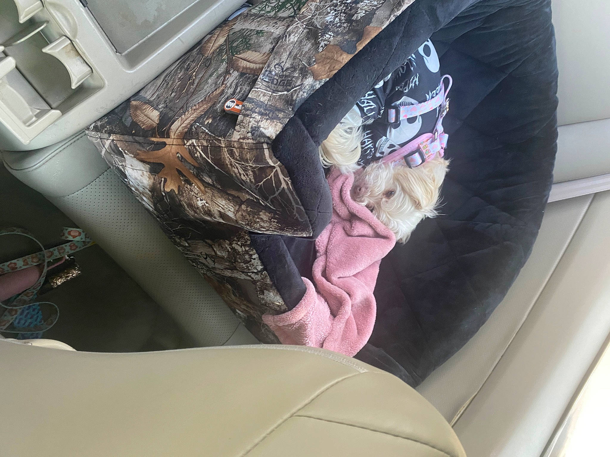 Stormi is registered to the contest to win money with this photo: auto_part, automotive_design, automotive_exterior, automotive_tire, automotive_window_part, car, car_seat, car_seat_cover, family_car, luxury_vehicle, mode_of_transport, motor_vehicle, personal_luxury_car, steering_wheel, tints_and_shades, trunk, vehicle, vehicle_door, window, windshield