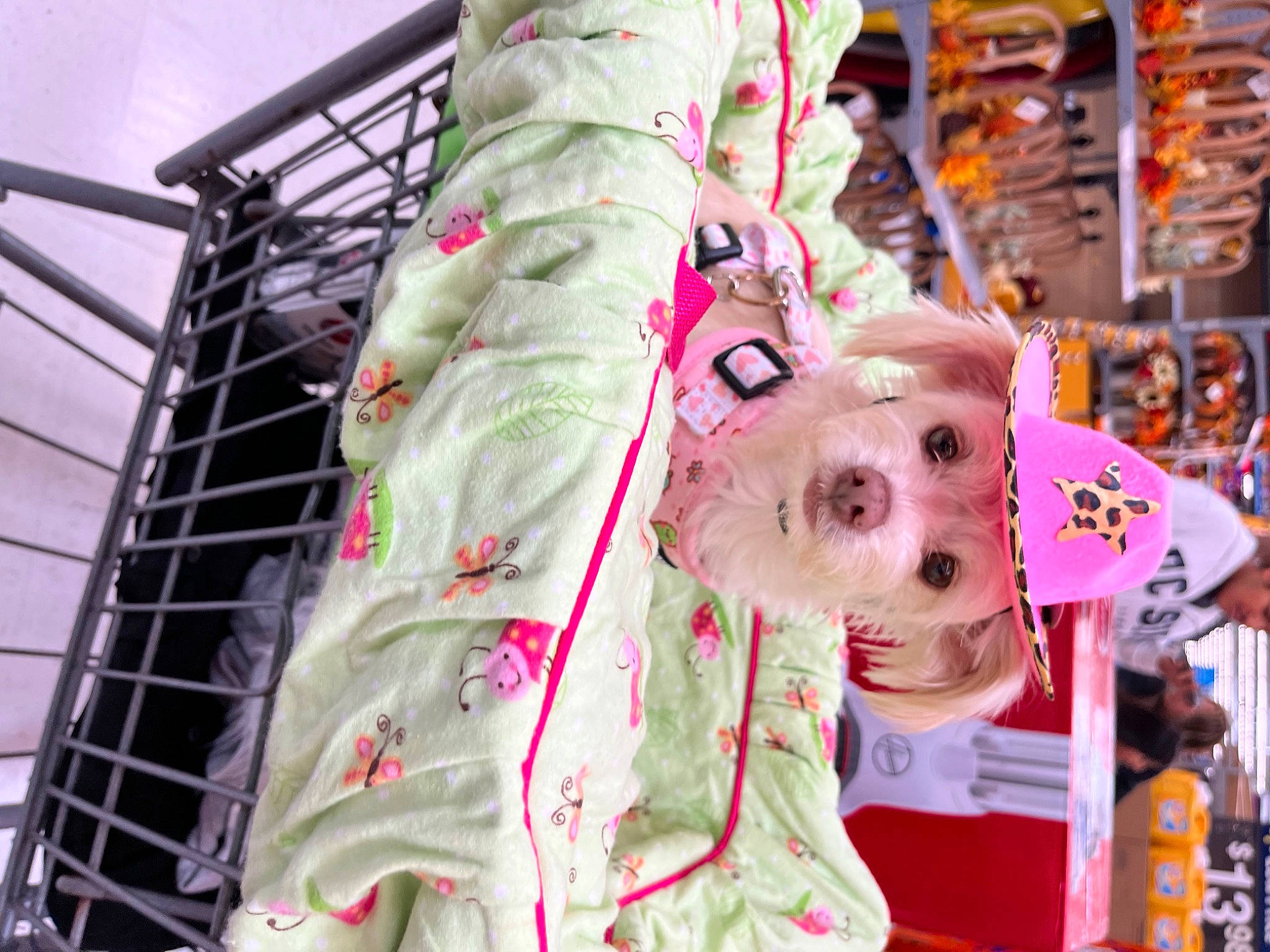 Stormi is registered to the contest to win money with this photo: bedding, child, costume, event, festival, flesh, fun, fur, happy, leisure, linens, magenta, pattern, pink, public_event, room, textile, toy, tradition, visual_arts