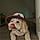 Riley