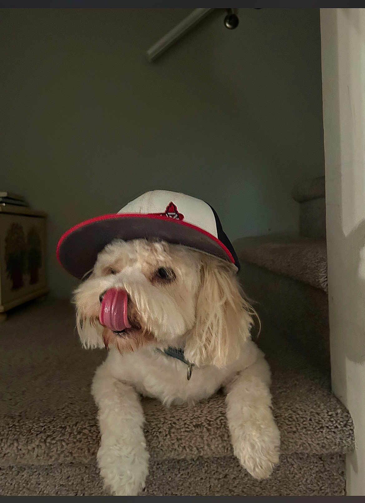 Riley