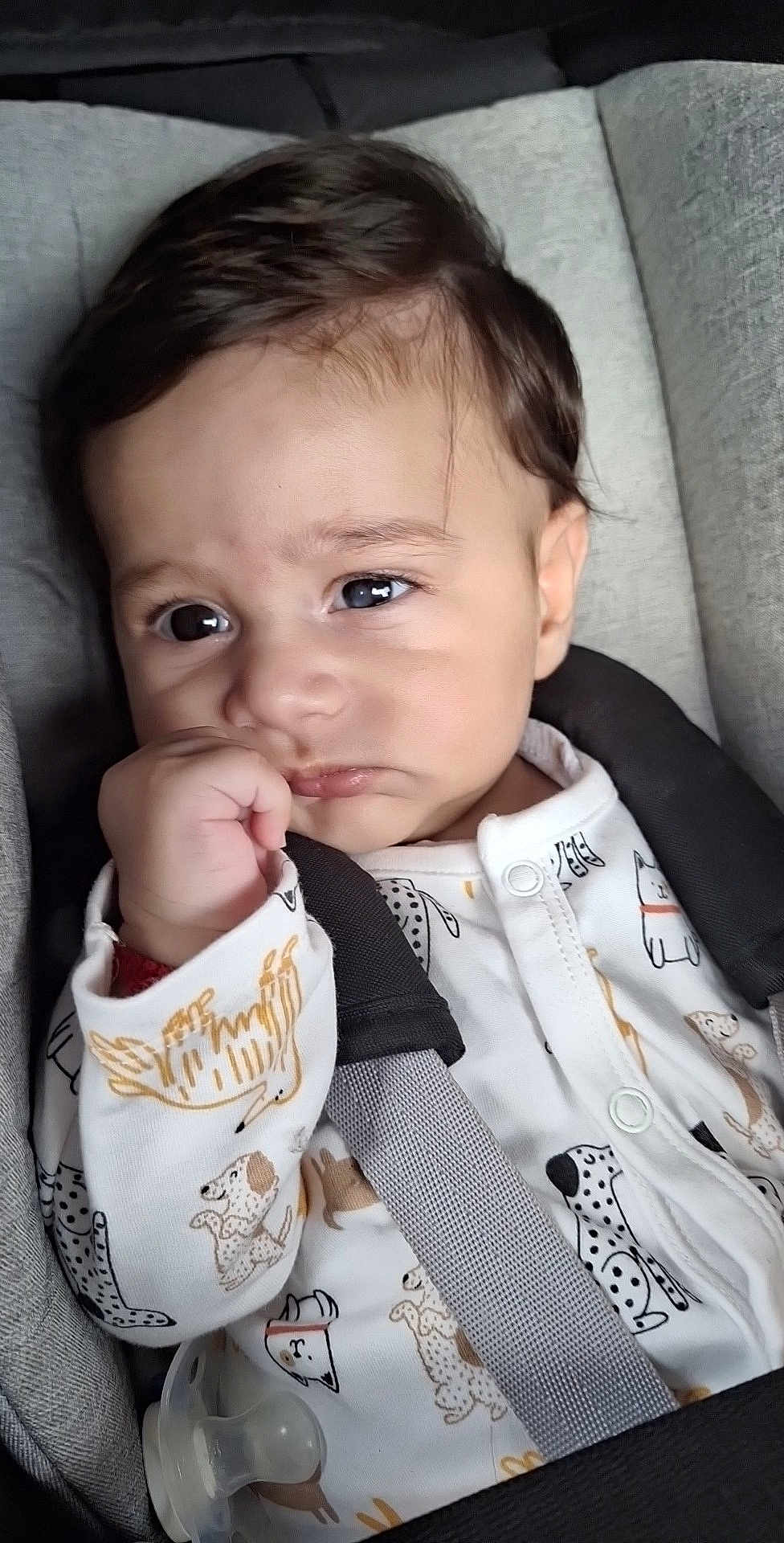 Luis participe au concours pour gagner de l'argent avec cette photo : baby, child, face, car_seat, onesie, animal_print, hand, straps, pacifier, curly_hair, indoors, portrait, close_up, cute, infant, expression, sitting, clothing, young_child, safety