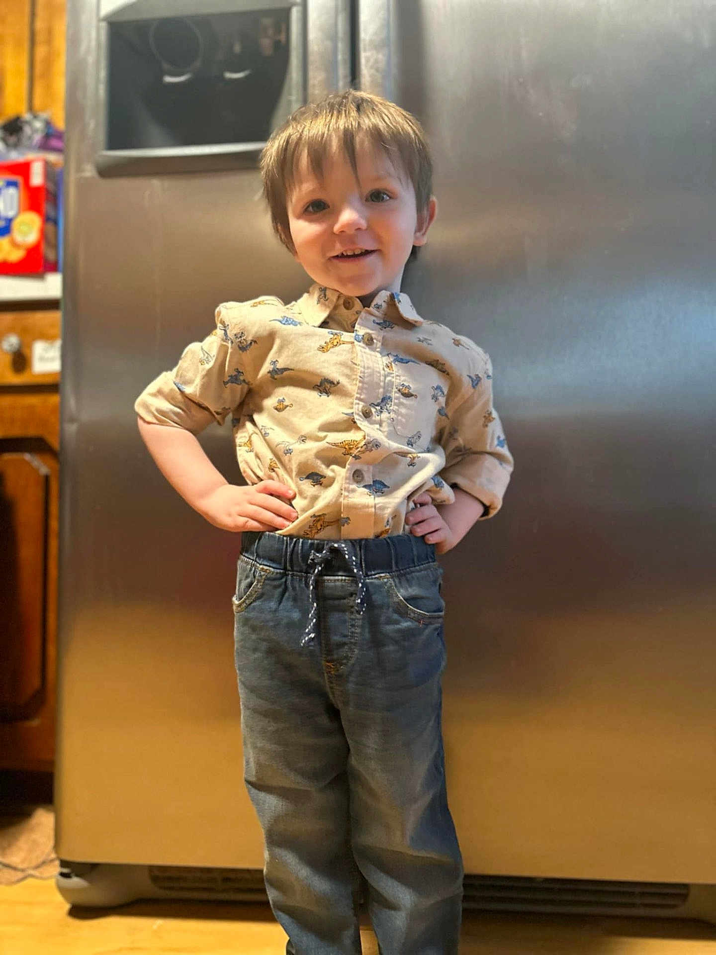 Colson is registered to the contest to win money with this photo: child, boy, standing, shirt, dinosaurs, jeans, kitchen, refrigerator, smiling, hands_on_hips, casual_clothing, indoor, wooden_floor, appliance, portrait, happy, young, home, person, cute