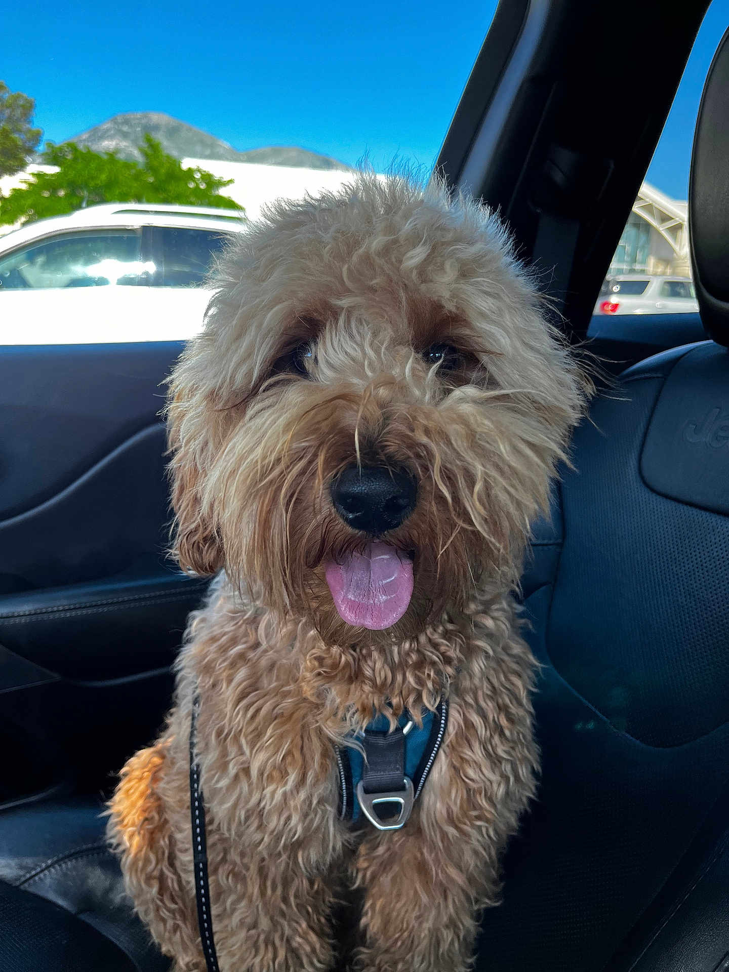 Oakley