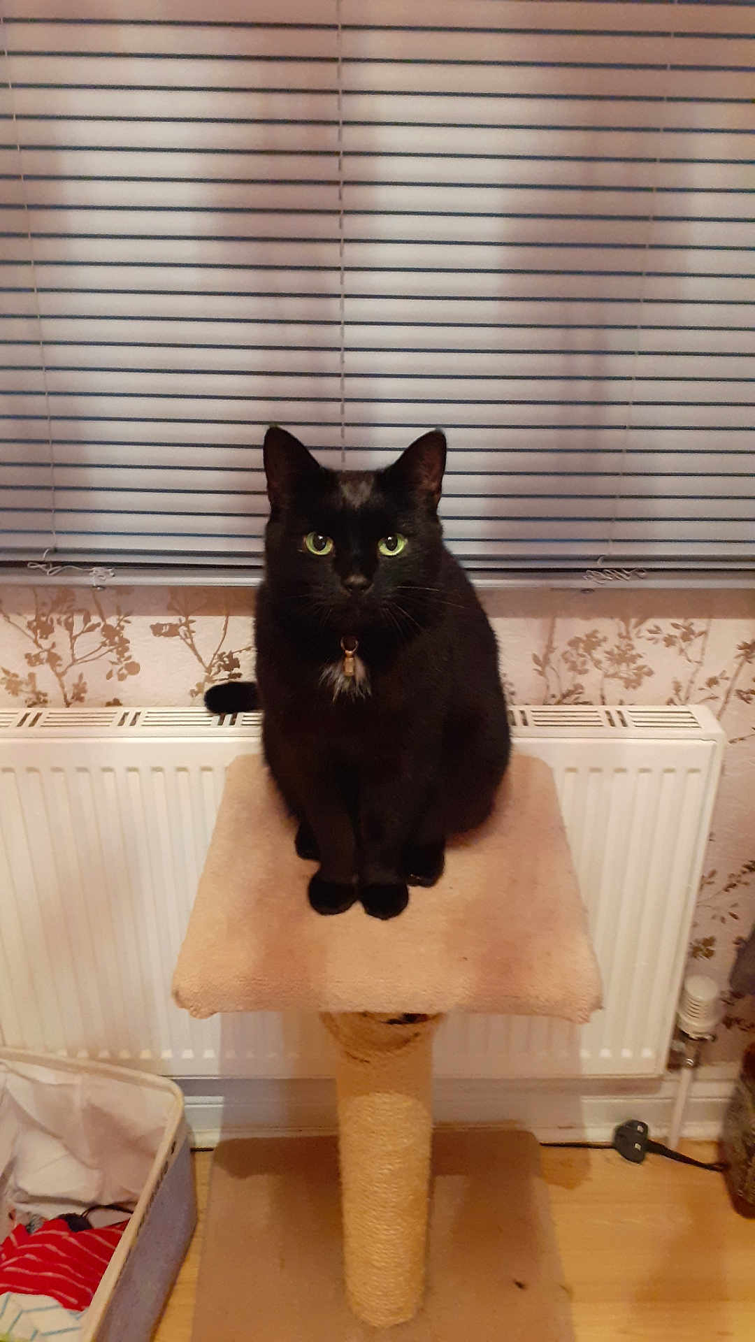 Minnie