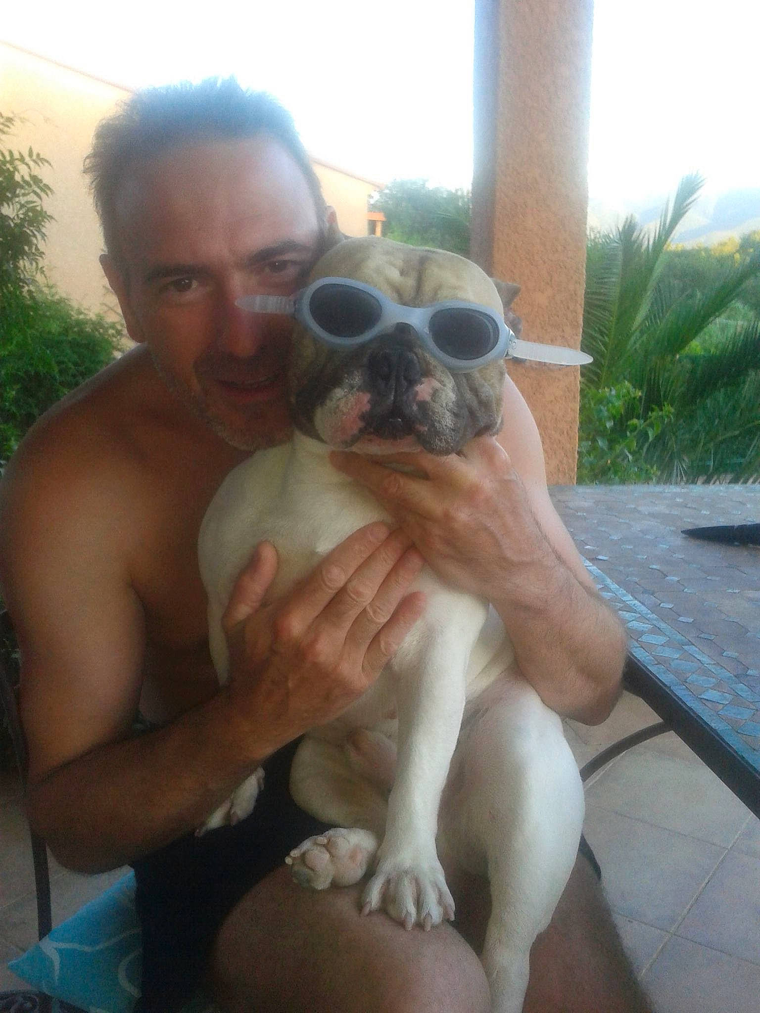 Figaro participe au concours pour gagner de l'argent avec cette photo : canidae, carnivore, companion_dog, dog, dog_breed, eyewear, fawn, fun, goggles, happy, leisure, mammal, plant, recreation, sky, snout, sporting_group, sunglasses, vision_care, working_animal