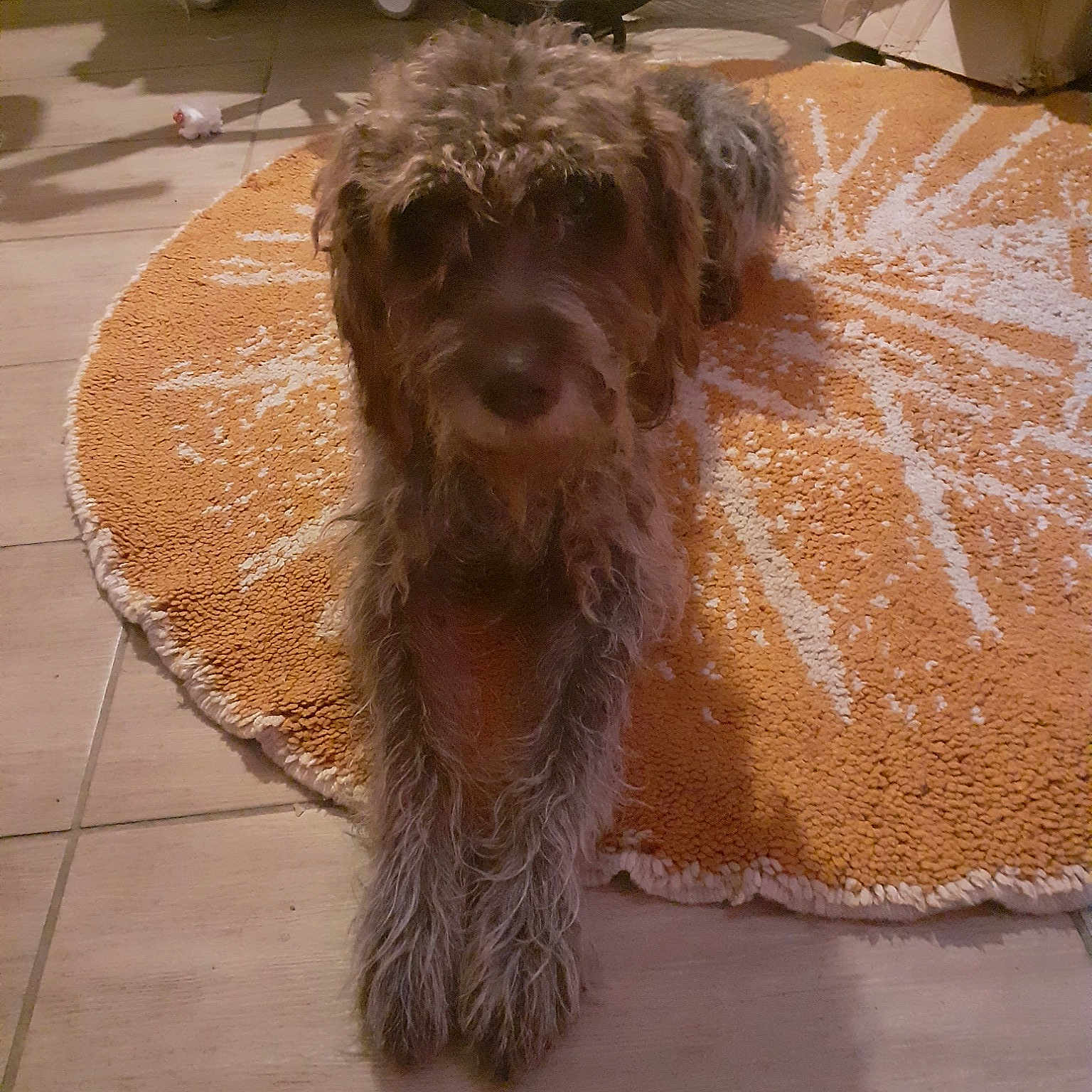 Eliott