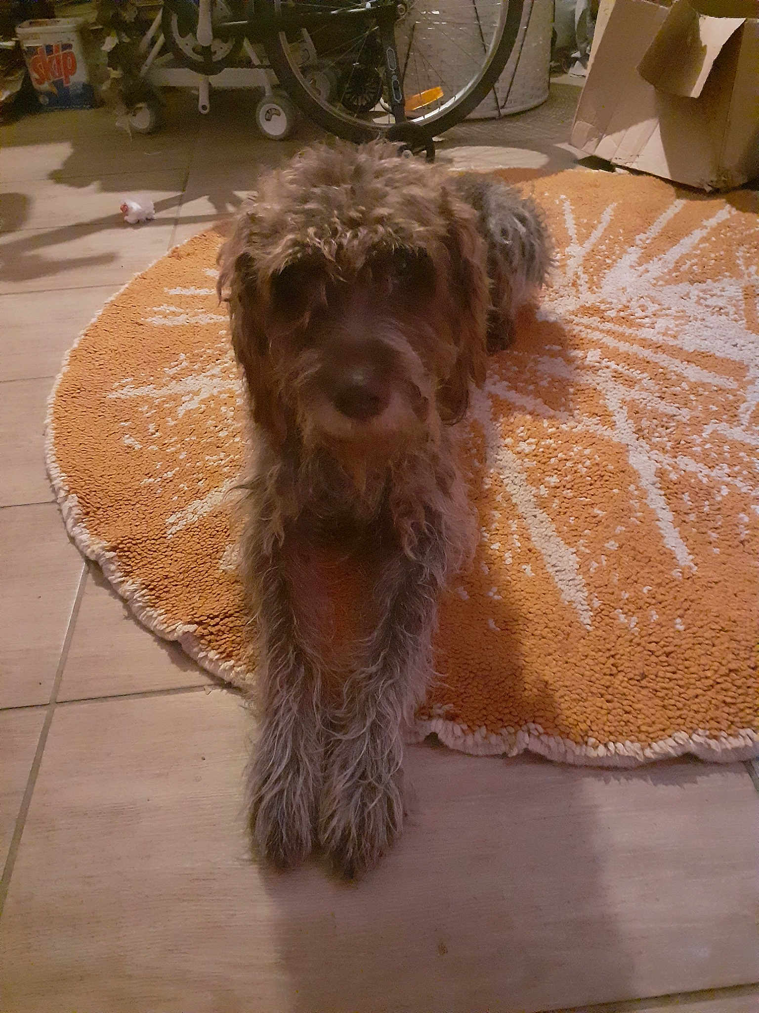 Eliott