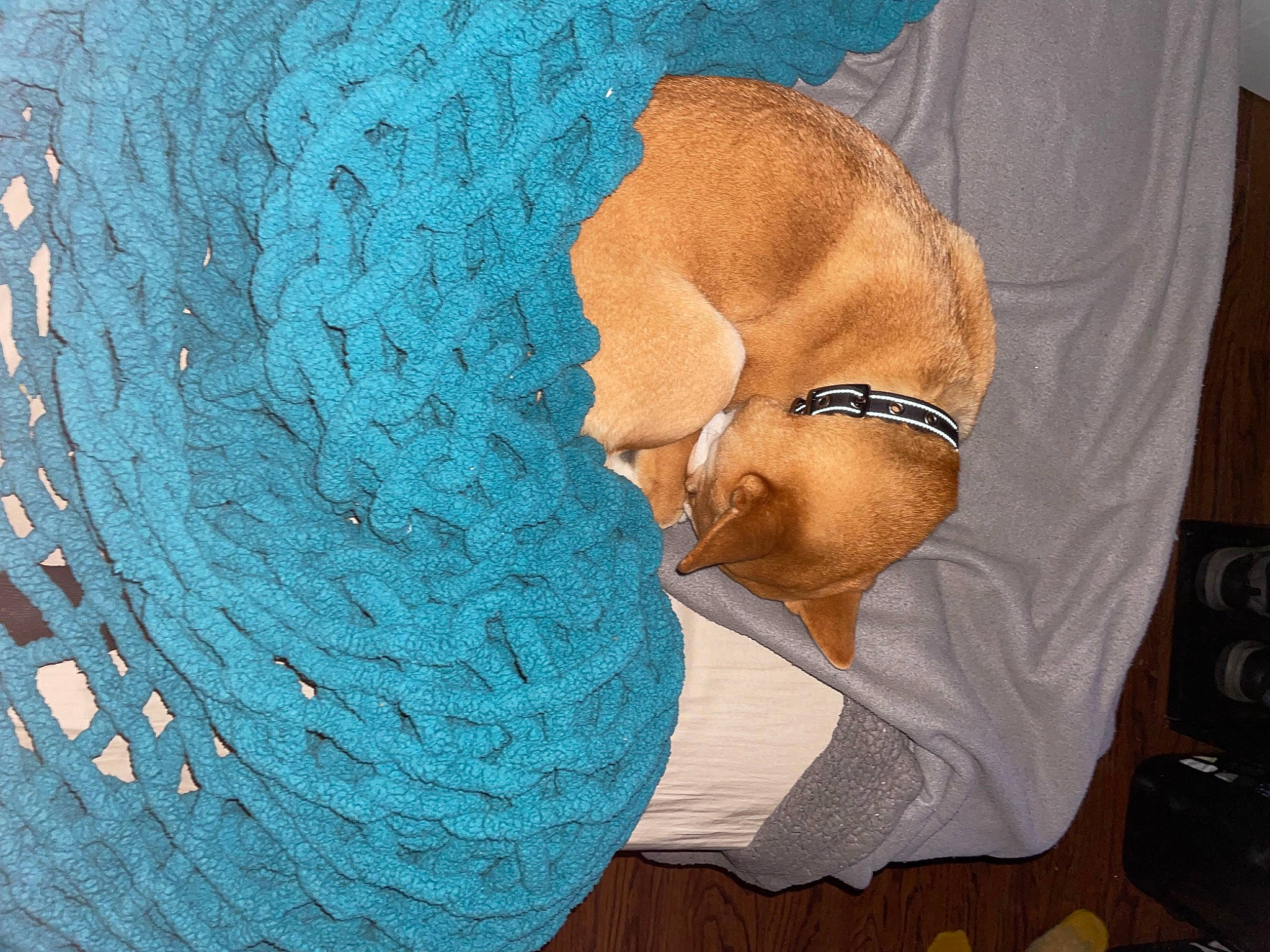 Kya joined the competition — help win amazing prizes! art, beard, circle, comfort, electric_blue, fashion_accessory, knitting, linens, pattern, textile, thread, towel, visual_arts, wood, wool, woolen, woven_fabric, wrinkle