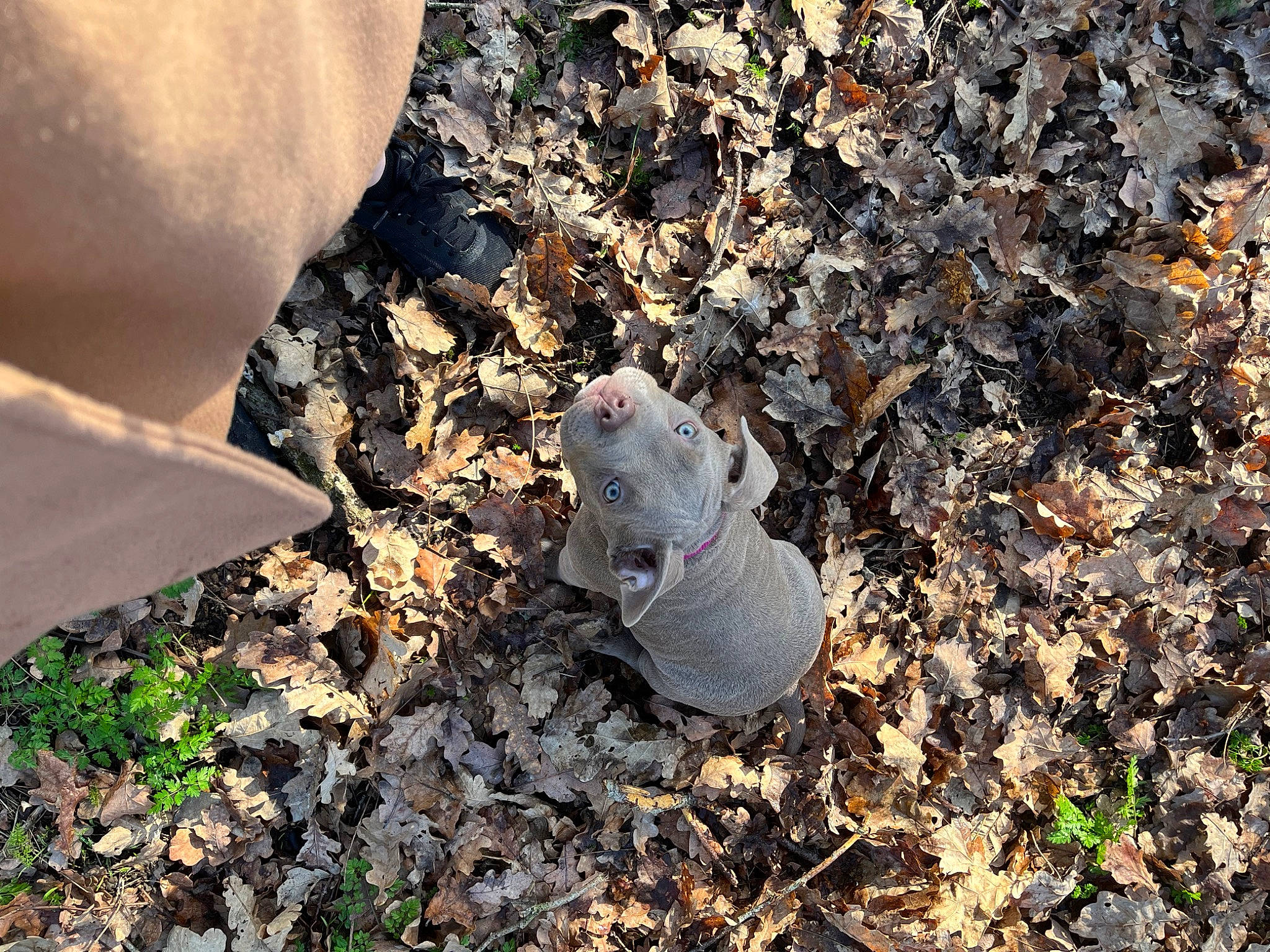 Tamara a rejoint le concours — aidez-le/la à gagner de superbes lots ! art, asphalt, concrete, grass, road_surface, rock, shadow, soil, terrestrial_animal, tints_and_shades, waste, wildlife, wood