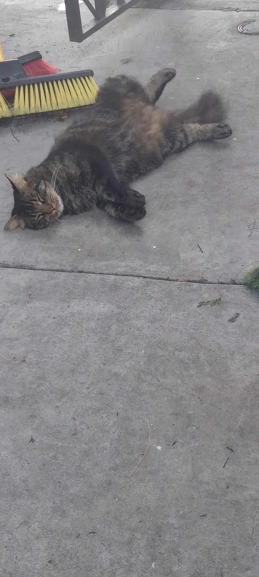 Luna