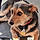 Buster