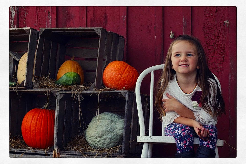 Madisen joined the competition — help win amazing prizes! _and_melon_family, _gourd, calabaza, cucumber, cucurbita, food, fruit, gourd, joy, local_food, person, photography, plant, produce, pumpkin, squash, still_life, still_life_photography, vegetable, vegetarian_food