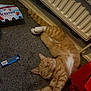 beverage_carton, cardboard_box, carpet, cat, cozy, domestic_animal, feline, floor, ginger_cat, household_items, indoor, orange_fur, pet, radiator, relaxed, resting, sleeping, stretching, tabby, white_paws
