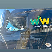 Ella is registered to the contest to win money with this photo: dog, truck, window, reflection, logo, outdoor, vehicle, sky, sunlight, person, photography, company, transport, curious, black, metal, roadside, daytime, animal, collar