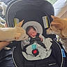 Emery is registered to the contest to win money with this photo: newborn, baby, car_seat, dogs, pets, sleeping, blanket, indoor, bedroom, curious, animal, child, infant, resting, canine, black, white, soft, cute, family