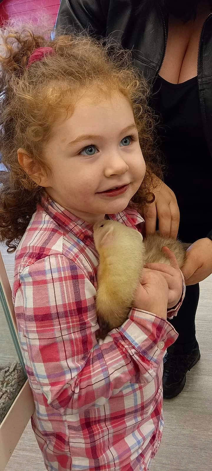 Alana is registered to the contest to win money with this photo: apple, blond, child, doll, eye, face, gesture, happy, head, human_body, joy, nail, pattern, person, plaid, skin, smile, stuffed_toy, tartan, thumb