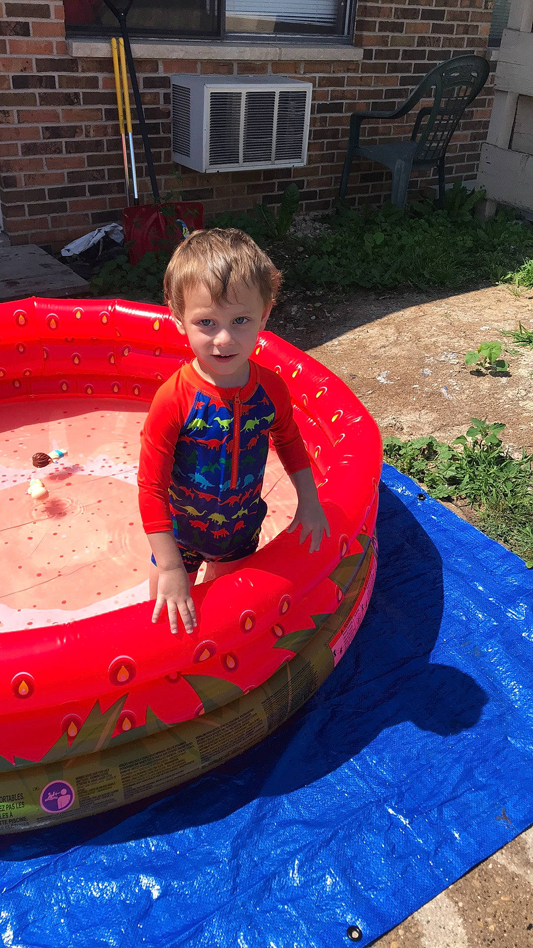 Jericho joined the competition — help win amazing prizes! baby, baby_toddler_clothing, child, electric_blue, fun, games, garden, grass, inflatable, leisure, outdoor_play_equipment, person, plant, play, recreation, sitting, t_shirt, toddler, vacation, window