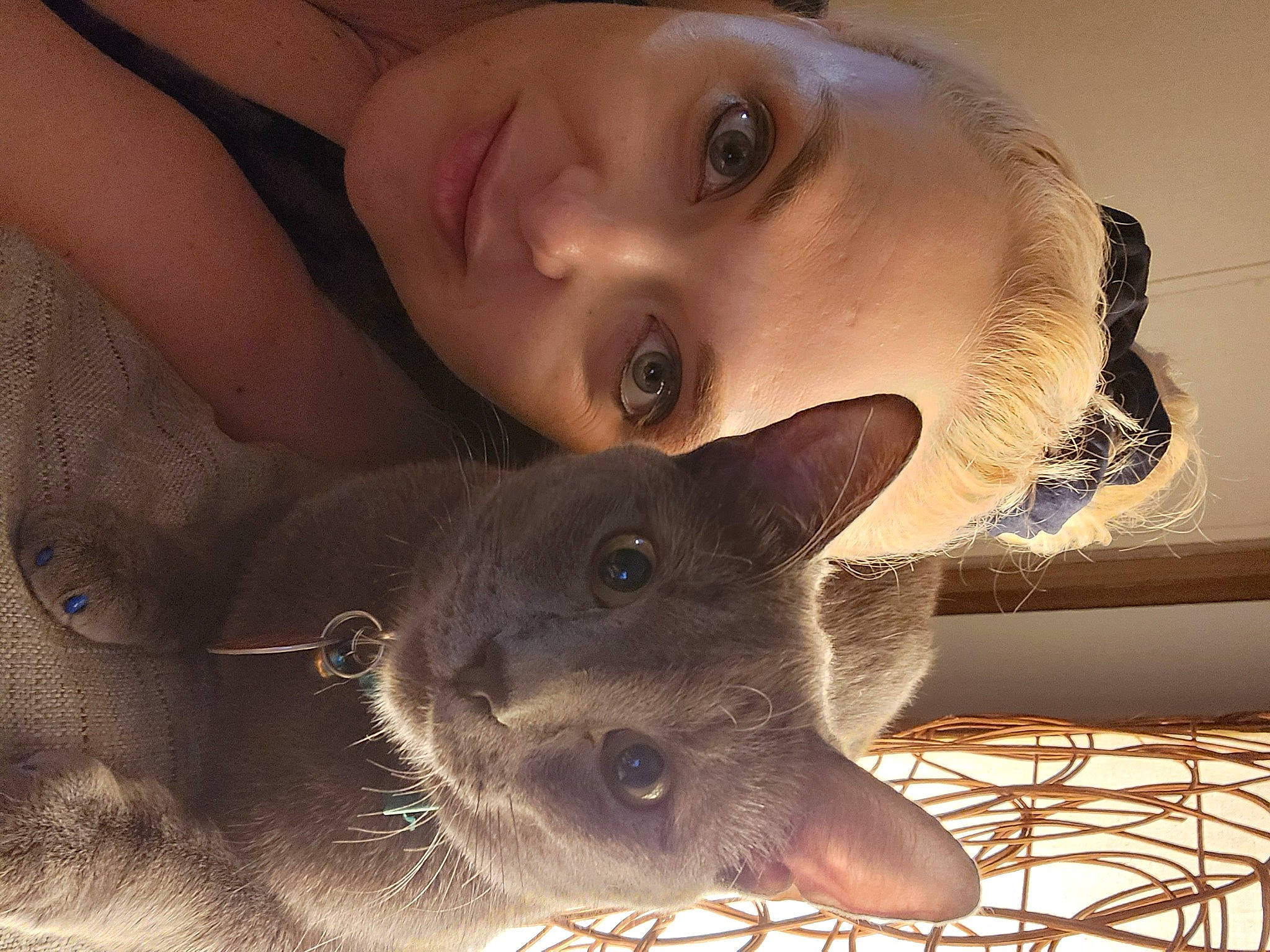 Church joined the competition — help win amazing prizes! beard, beauty, carnivore, cat, ear, eye, eyelash, fawn, felidae, happy, head, jaw, lip, nose, organ, russian_blue, selfie, small_to_medium_sized_cats, snout, whiskers