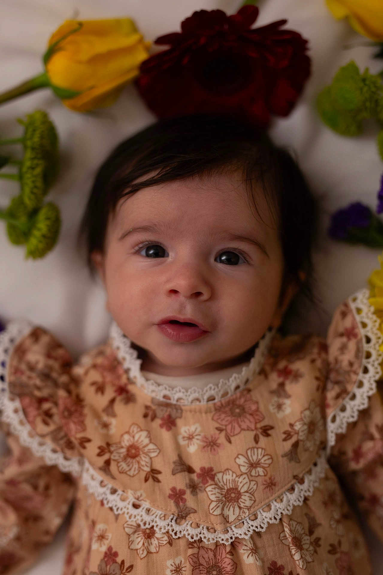 Zofia Rose is registered to the contest to win money with this photo: baby, infant, portrait, close_up, dark_hair, big_eyes, floral_dress, lace, flowers, yellow_flower, red_flower, purple_flower, soft_lighting, neutral_expression, lying_down, blanket, cute, rosy_cheeks, studio_style, bokeh