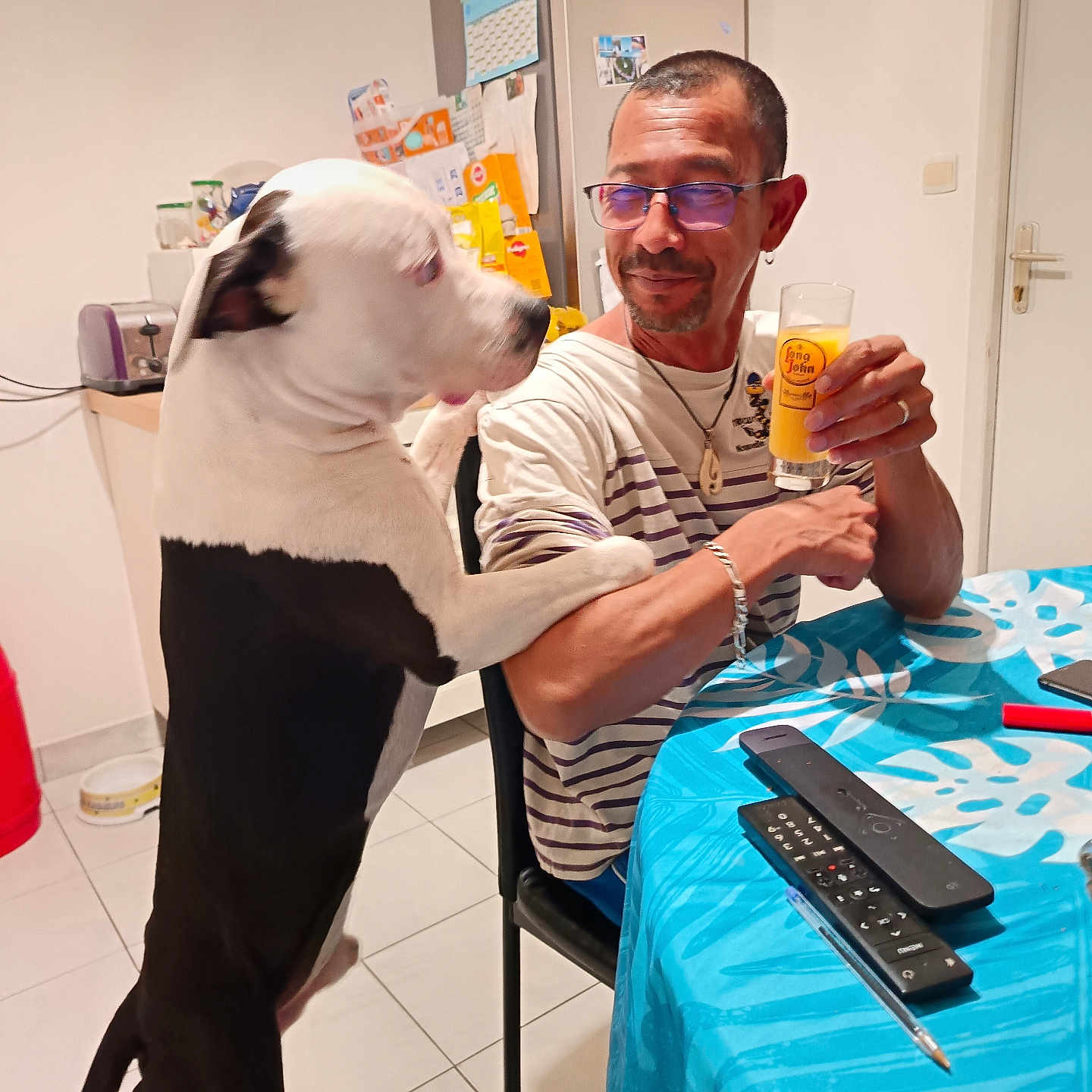 Sergent participe au concours pour gagner de l'argent avec cette photo : affection, arm, bracelet, chair, dog, drink, glass, glasses, indoor, kitchen, man, necklace, pet, refrigerator, remote_control, short_hair, smiling, table, tablecloth, tile_floor