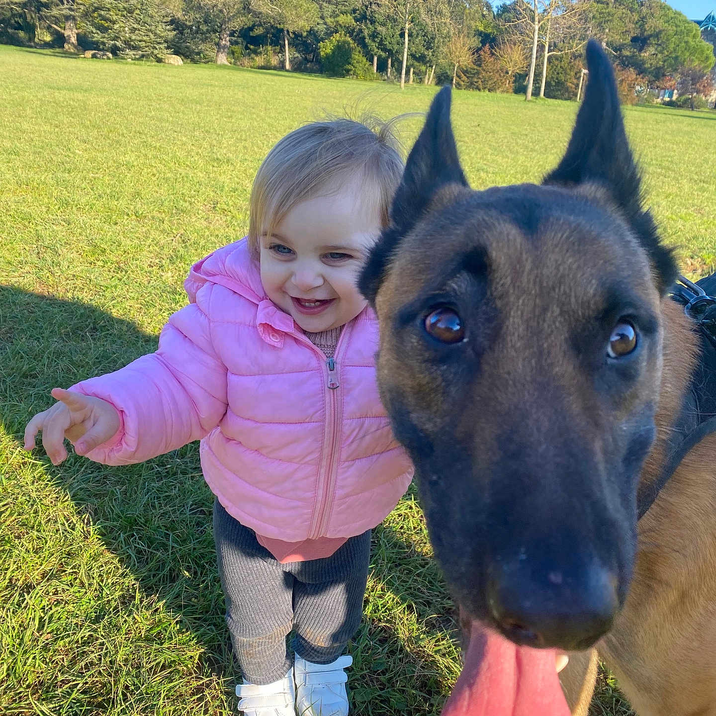 Ulysse a rejoint le concours — aidez-le/la à gagner de superbes lots ! animal, baby, child, daytime, dog, friendship, grass, happy, jacket, nature, outdoor, park, pet, playful, smiling, sunny, toddler, tongue_out, tree, walking