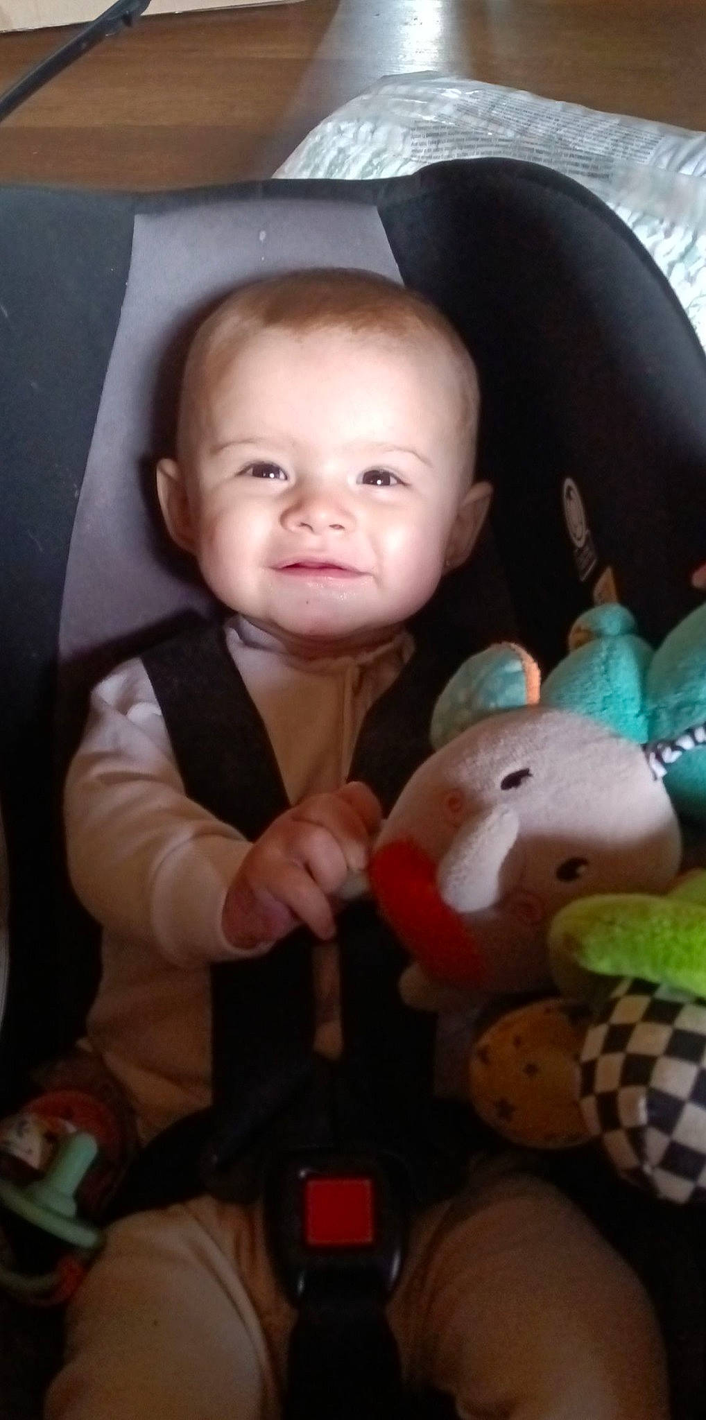 Stellaluna is registered to the contest to win money with this photo: baby, baby_products, baby_toddler_clothing, cheek, child, comfort, facial_expression, finger, fun, happy, nose, person, plush, product, room, skin, smile, stuffed_toy, thumb, toddler