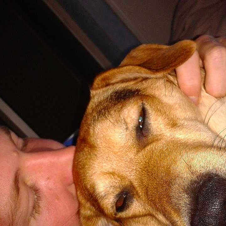 Lola