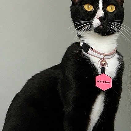 Patches