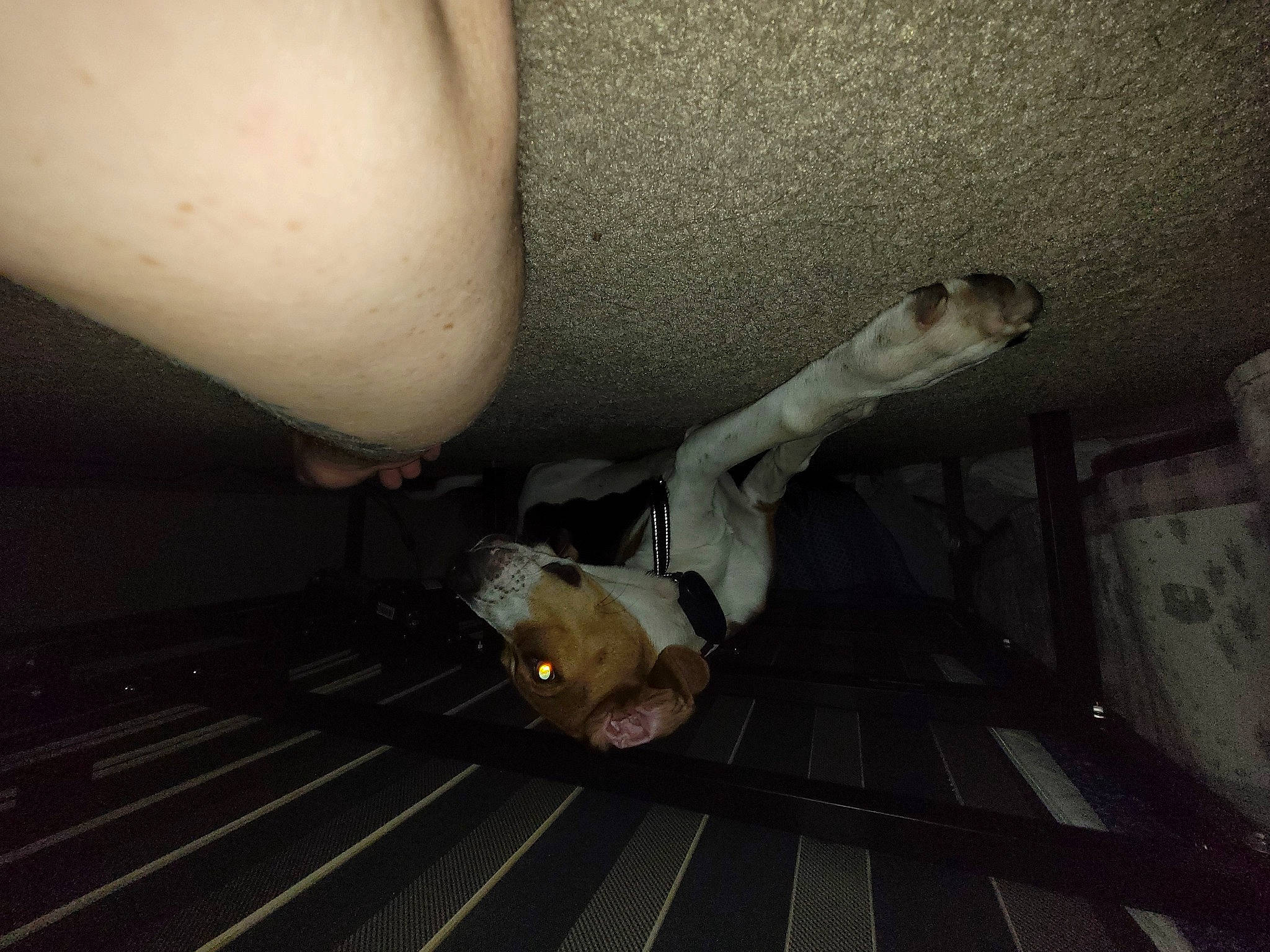 Thorin Okanshield joined the competition — help win amazing prizes! abdomen, ceiling, chest, concrete, darkness, elbow, finger, flash_photography, flesh, flooring, gas, human_body, human_leg, knee, metal, pipe, room, thigh, wood, wrist