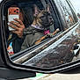 dog, french_bulldog, pet, car, side_mirror, reflection, person, smartphone, phone_case, window, collar, collar_tag, paw, jacket, seat, street, mirror_text, urban, city, portrait