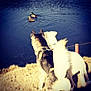 Chez is registered to the contest to win money with this photo: