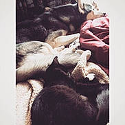 Chez is registered to the contest to win money with this photo:
