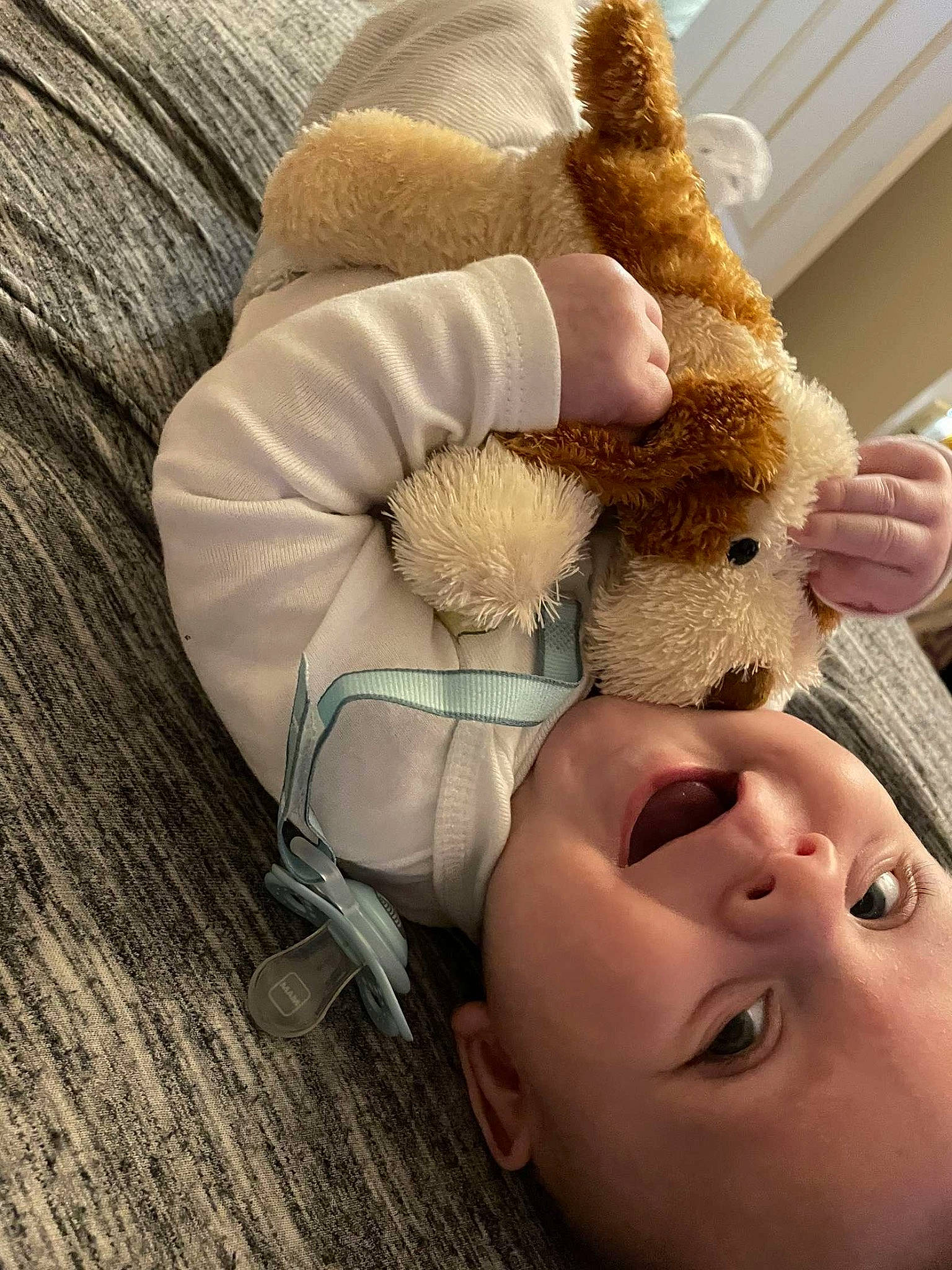 Braxley joined the competition — help win amazing prizes! arm, baby, baby_safety, baby_sleeping, bed, bedding, child, comfort, ear, eyelash, gesture, happy, headgear, human_body, linens, person, skin, stuffed_toy, textile, toy