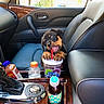 puppy, rottweiler, dog, car_interior, drink_cup, straw, bottles, center_console, leather_seat, window, door_handle, dashboard, playful, pet, animal, cute, young_dog, black_and_tan, car_seat, inside_car