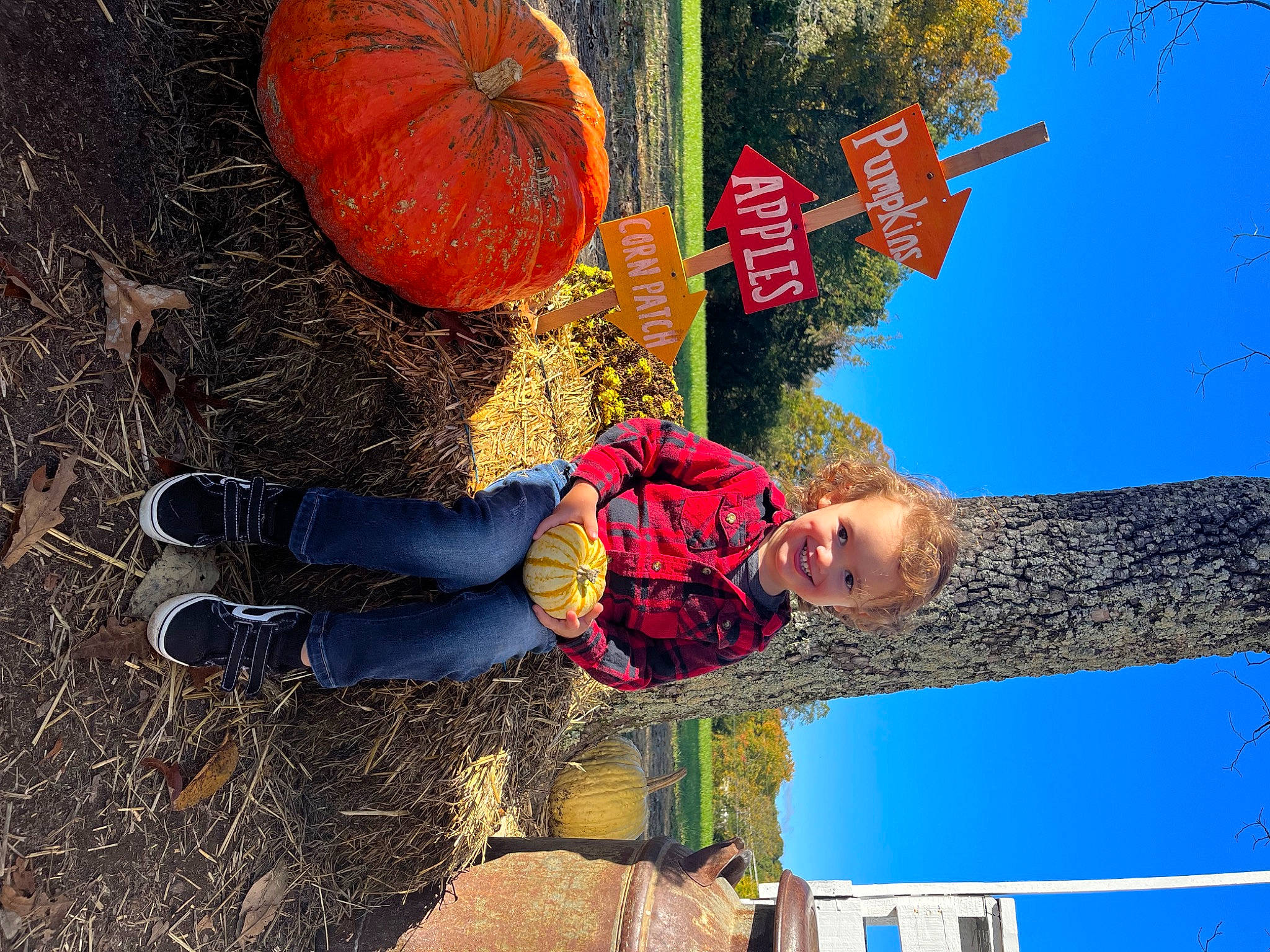 Isaac is registered to the contest to win money with this photo: calabaza, cucurbita, fun, gourd, happy, joy, leisure, nature, people_in_nature, person, photograph, plant, pumpkin, red, sky, smile, squash, travel, tree, winter_squash