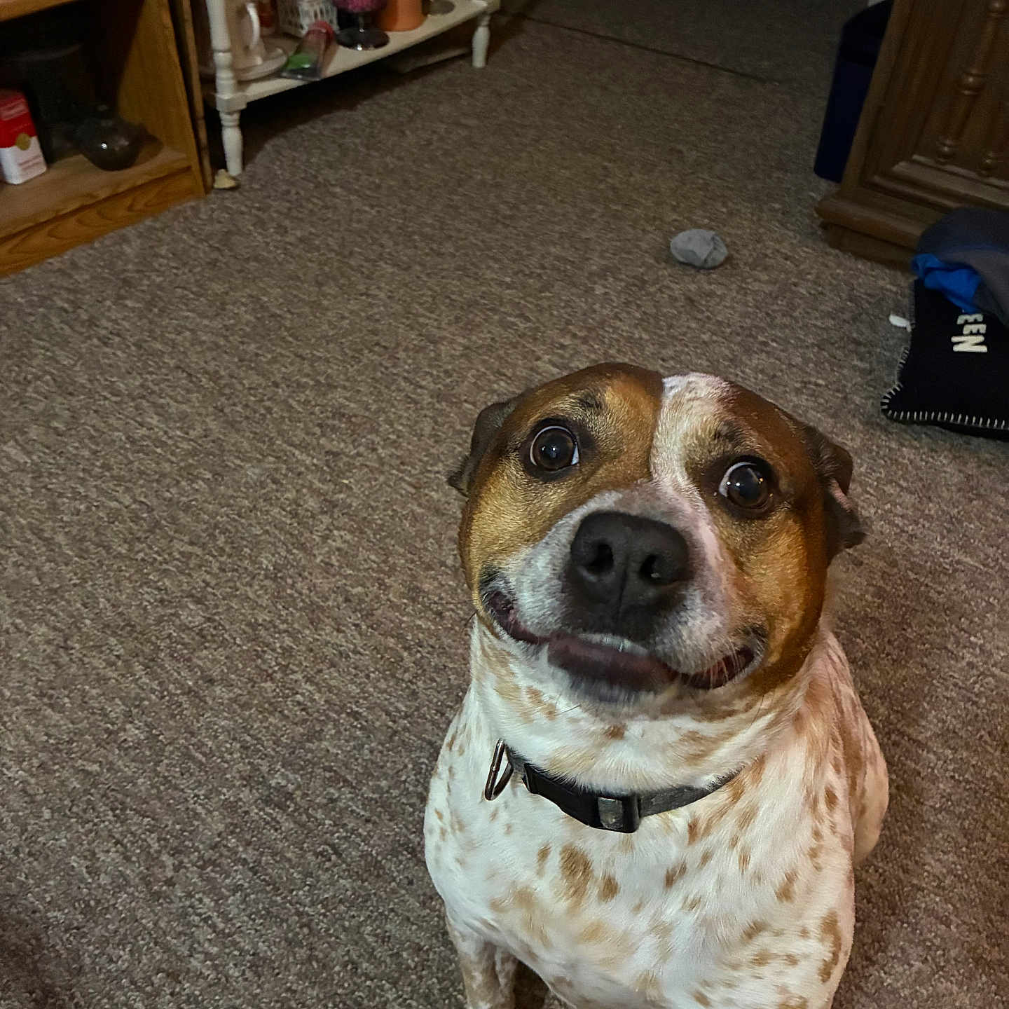 Gizmo